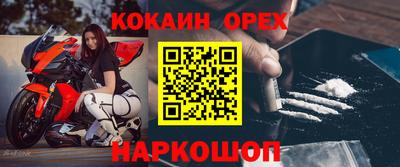 PSILOCYBIN Заволжье