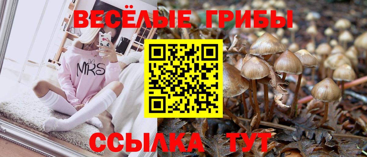 Галлюциногенные грибы MAGIC MUSHROOMS Кушва