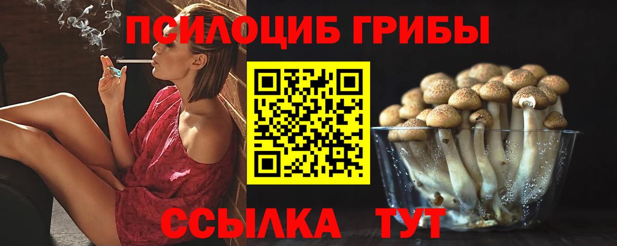 Галлюциногенные грибы Psilocybe  Псилоцибиновые грибы Psilocybine cubensis  Вход с VPN  Кушва 